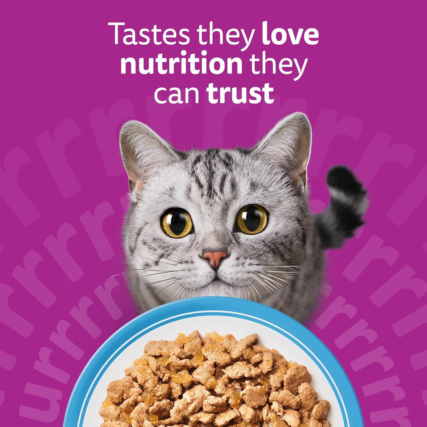 WHISKAS Adult Wet Cat Food in Jelly 40x85g Fish Favourites