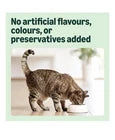 Dry Cat Food with Chicken, Turkey and Vegetables, 1 pack of 3kg