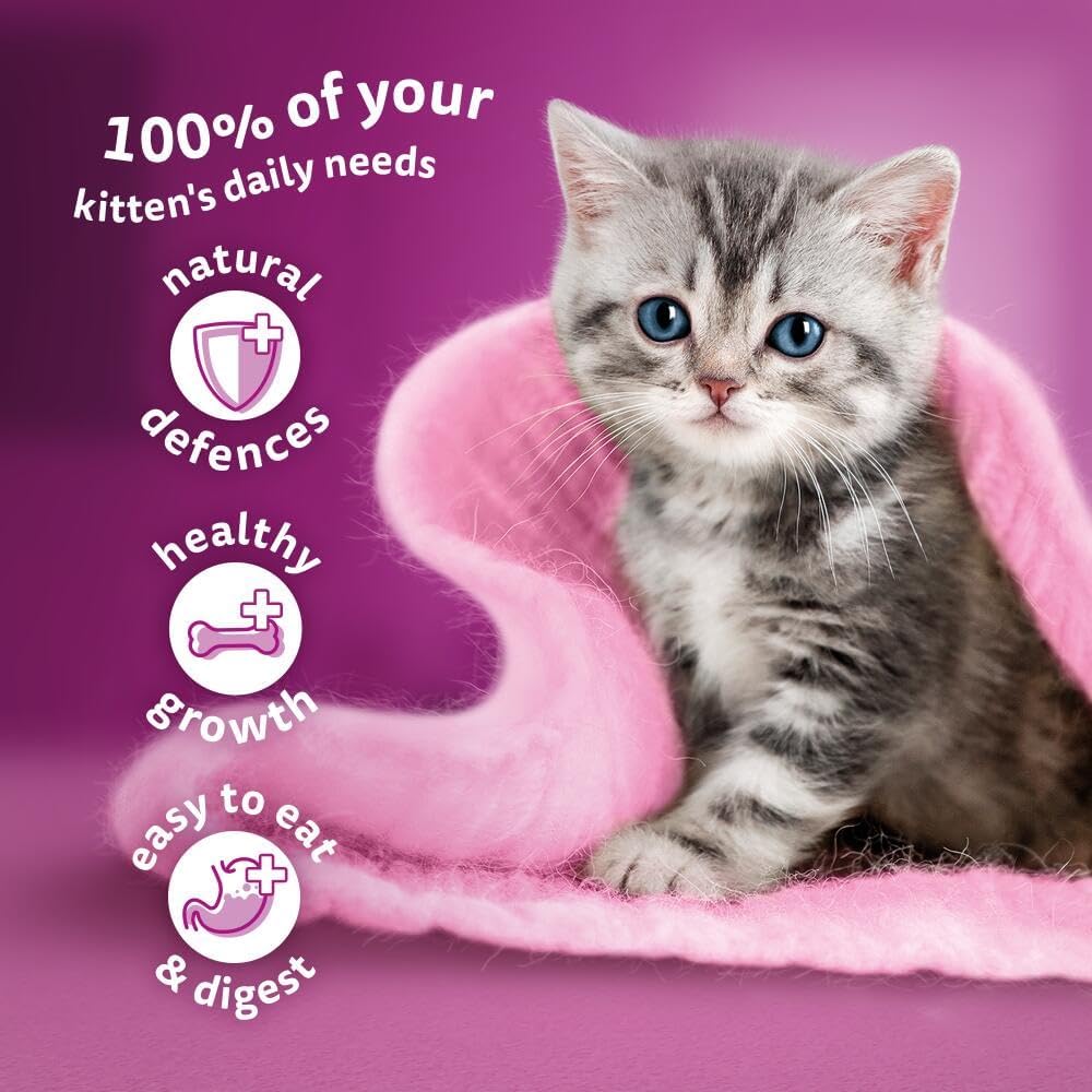 whiskas Junior Poultry Selection in Jelly 84 Pouches, Wet Kitten and Cat Food, Selection of Chicken, Duck, Poultry and Turkey, Megapack (84 x 85 g)