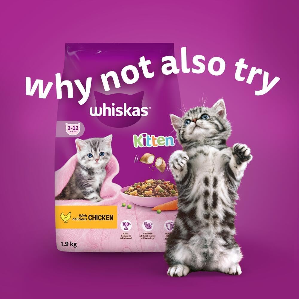 whiskas Junior Poultry Selection in Jelly 84 Pouches, Wet Kitten and Cat Food, Selection of Chicken, Duck, Poultry and Turkey, Megapack (84 x 85 g)