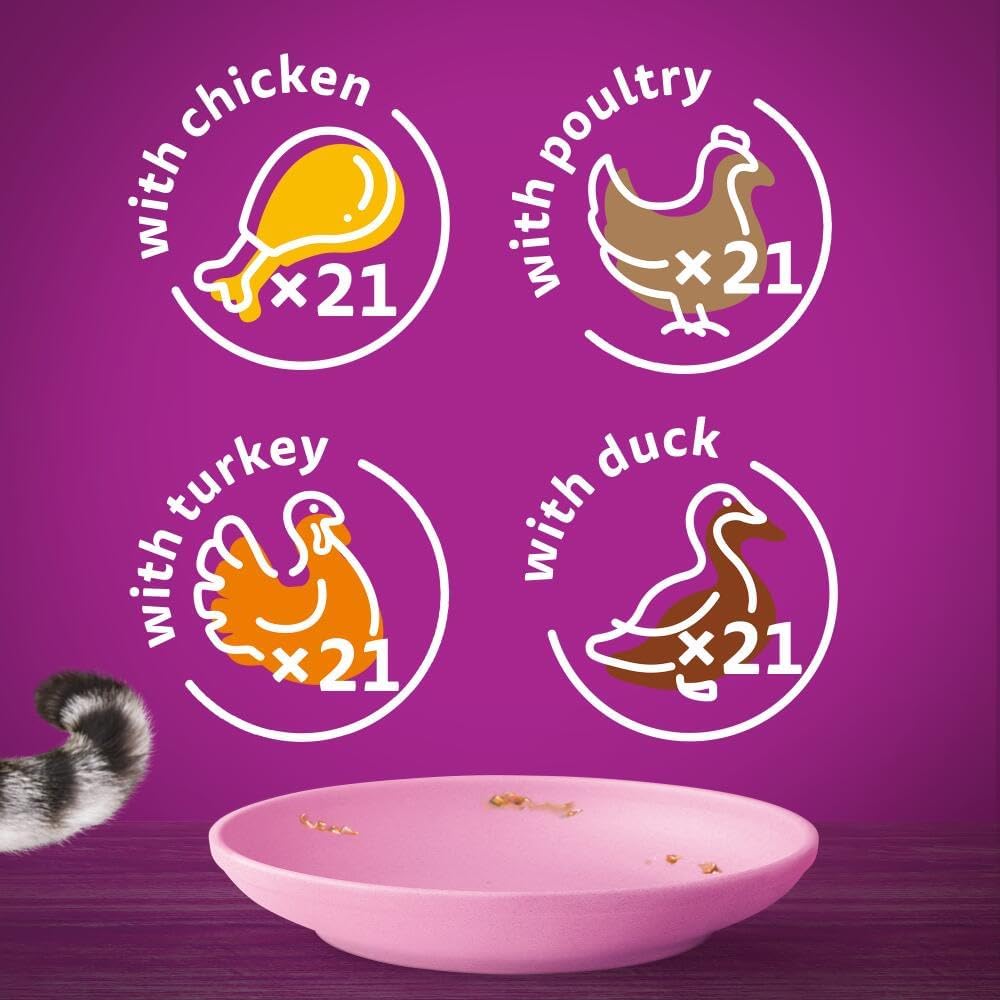 whiskas Junior Poultry Selection in Jelly 84 Pouches, Wet Kitten and Cat Food, Selection of Chicken, Duck, Poultry and Turkey, Megapack (84 x 85 g)