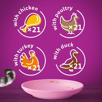whiskas Junior Poultry Selection in Jelly 84 Pouches, Wet Kitten and Cat Food, Selection of Chicken, Duck, Poultry and Turkey, Megapack (84 x 85 g)