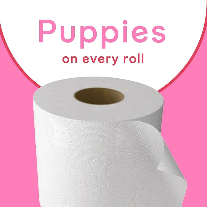 Andrex Family Soft Toilet Tissue 72 Rolls (Previously Andrex Gentle Clean) Gentle on your Family’s skin– Bulk Pack of 72 Toilet Rolls, FSC Certified