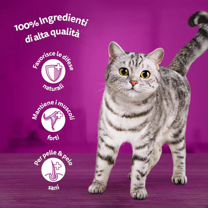 Whiskas 1+ Adult Classic Selection in Gravy | 84 x 85g Megapack
