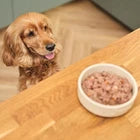 Lily'S Kitchen Natural Adult Dog Food Wet Trays - Classic Dinners Multipack - Ch