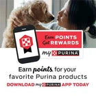 Purina Puppy Chow Complete Dry Dog Food, High Protein Farm-Raised, 4 lb Bag