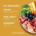 Lily'S Kitchen Natural Adult Dog Food Wet Trays - Classic Dinners Multipack - Ch