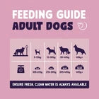 Burgess Sensitive Dog Food Hypoallergenic Salmon 2kg Or 12.5kg Adult 12 Months+