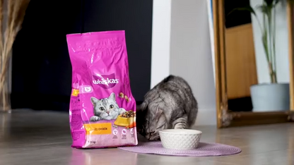 Whiskas 1+ Adult Dry Cat Food | Chicken | 7kg Bulk Bag